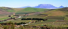 Durbanville Wine Route